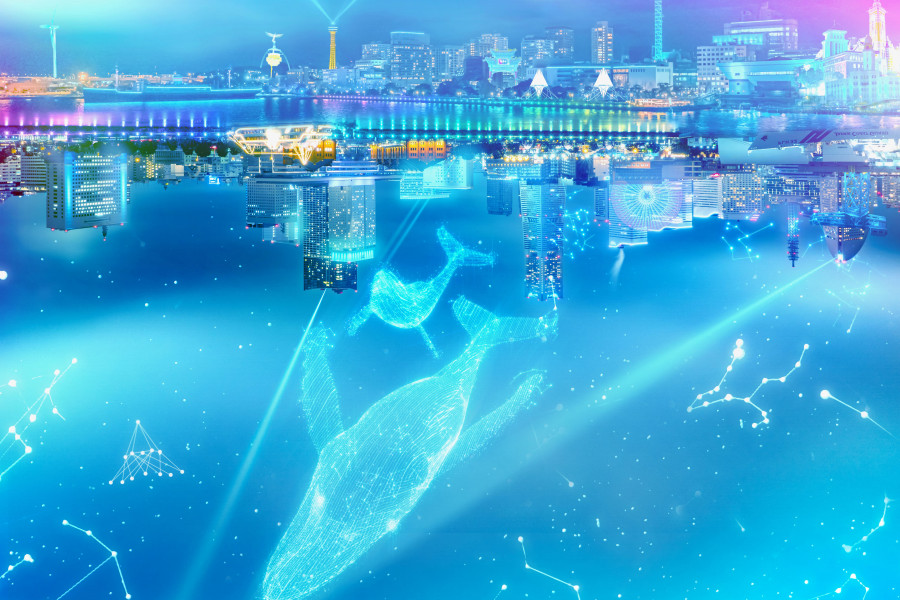 밤의 요코하마 일루미네이션 2024-25