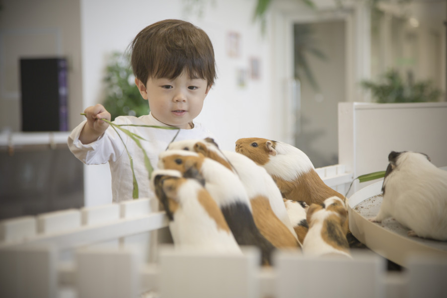 Animal Touch Minatomirai