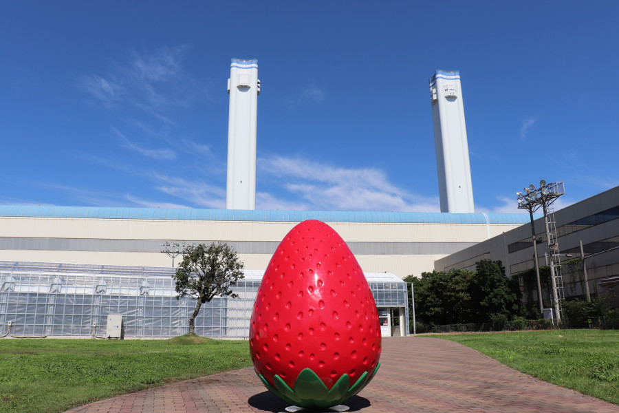 横浜草莓公园（YOKOHAMA STRAWBERRY PARK）