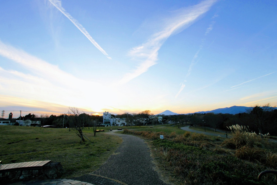 县立茅崎里山公园