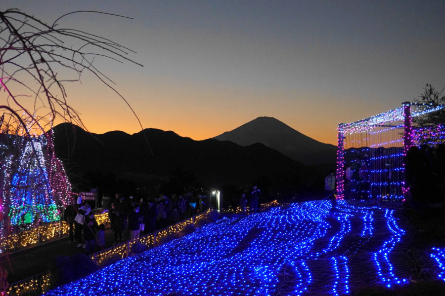 松田山草本花园