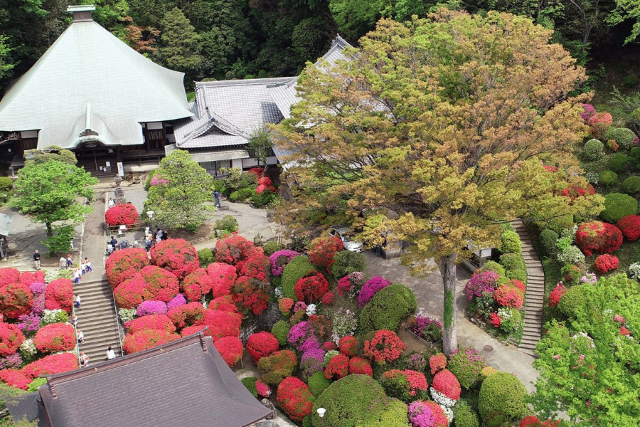等觉院(杜鹃寺)