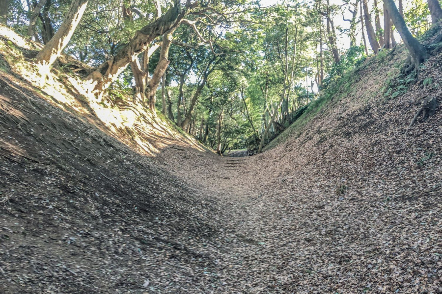 Remains of the Total Structure of Odawara Castle