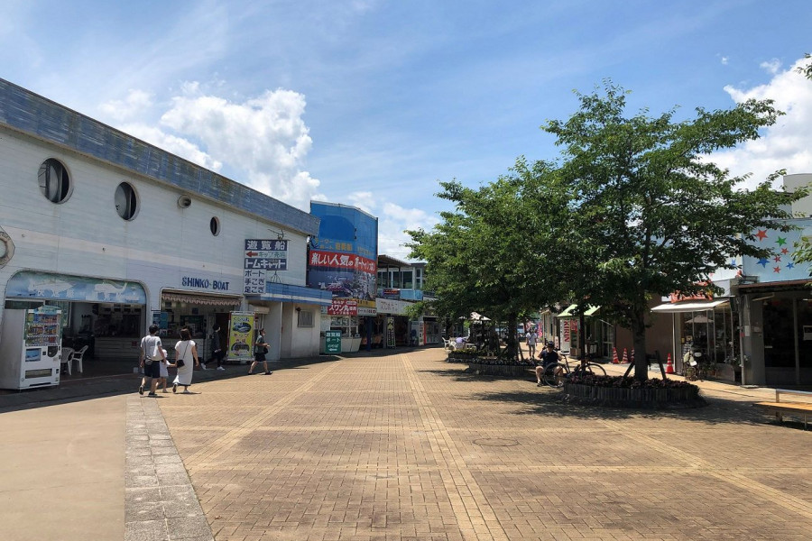 相模湖畔散步（体验昭和复古射击、弹球盘）