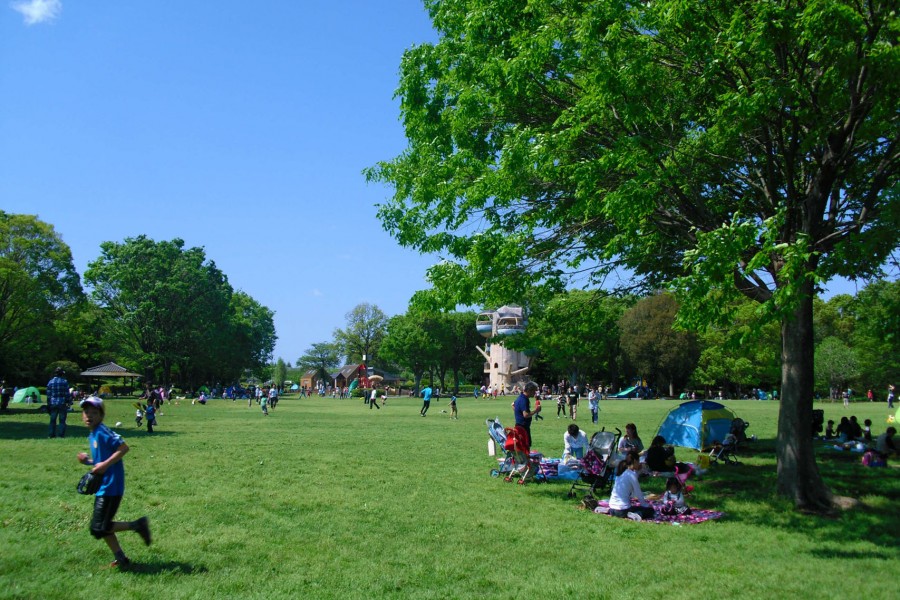 县立相模原公园