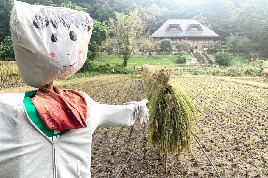 座间谷户山公园