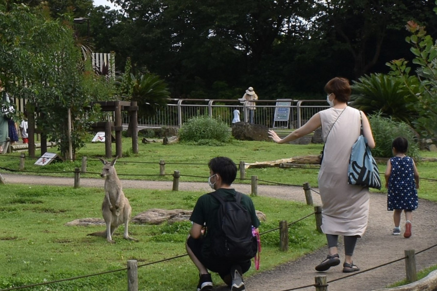 横滨巿立金泽动物园