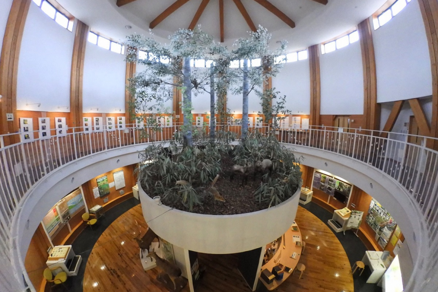 自然环境保全中心