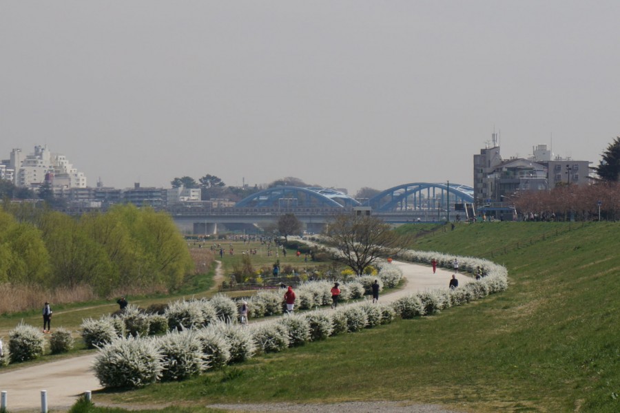 多摩川绿地