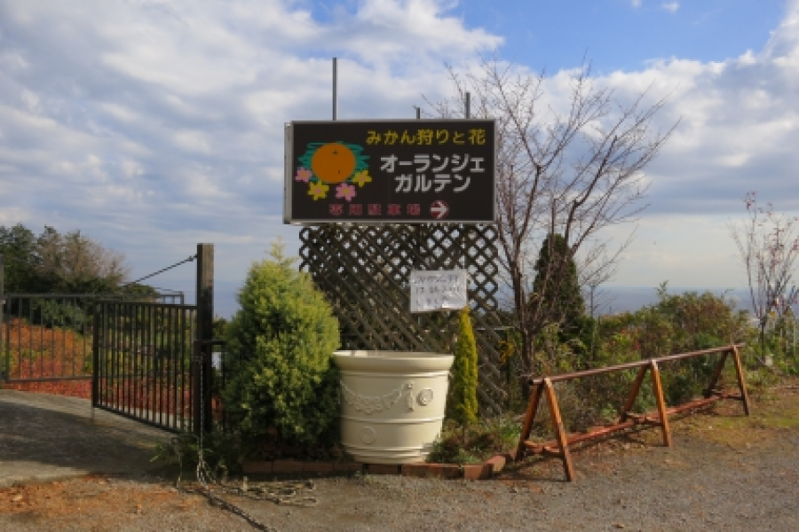 橘色园圃（采橘）