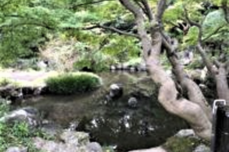 茅崎市茶室·书院 松籁庵