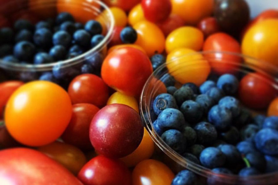 FLOWER GARDEN 饭岛农场