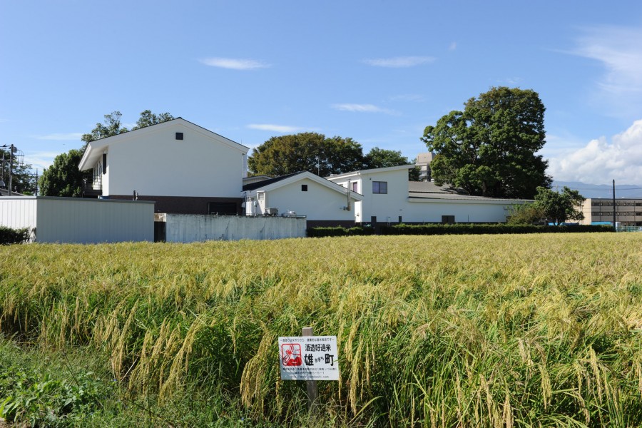 Izumibashi清酒酿造厂