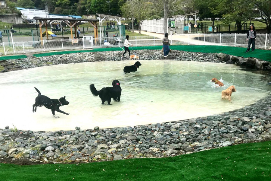 寄七星狗公园＆咖啡馆