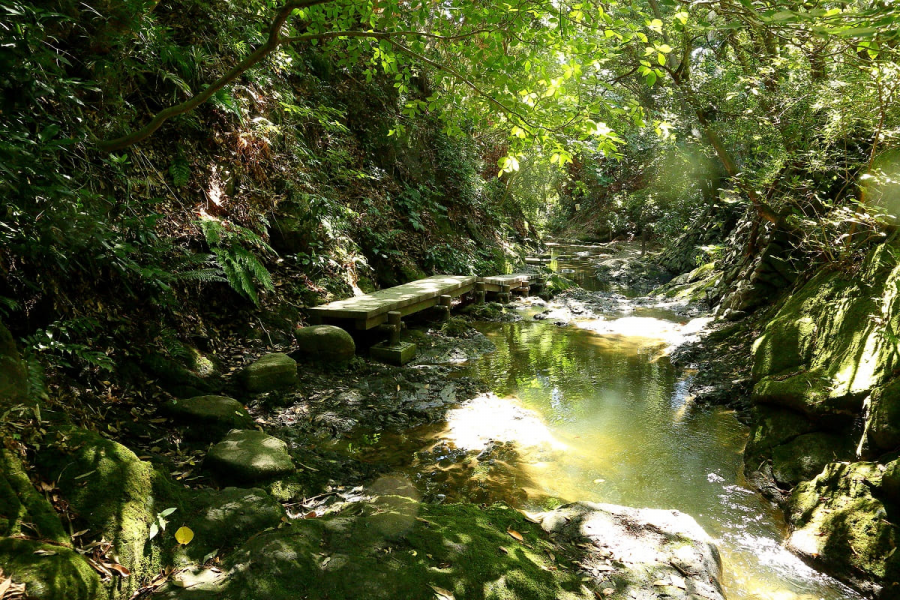 大楠山远足路线