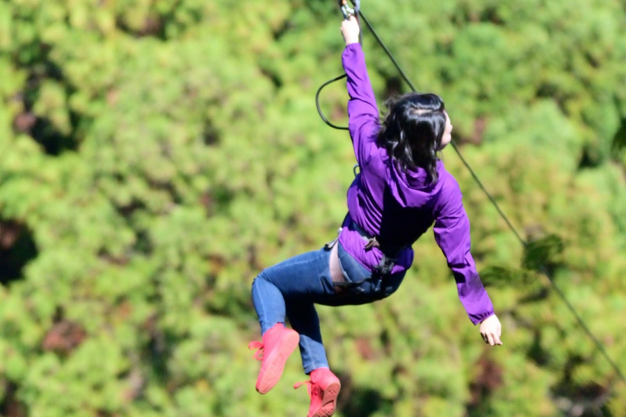 Tree Cross Adventure 厚木・七泽