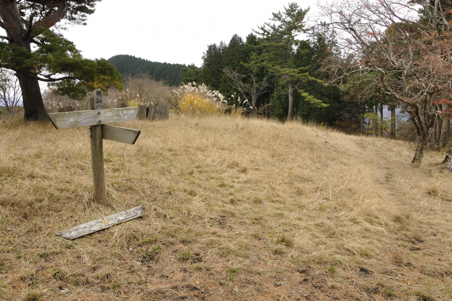 오모테탄자와 켄민노모리