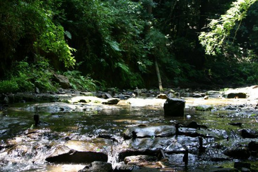 阵之下溪谷公园