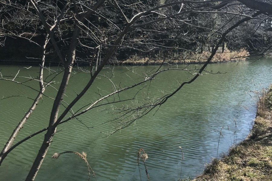 笼口之池以及化妆面谷公园