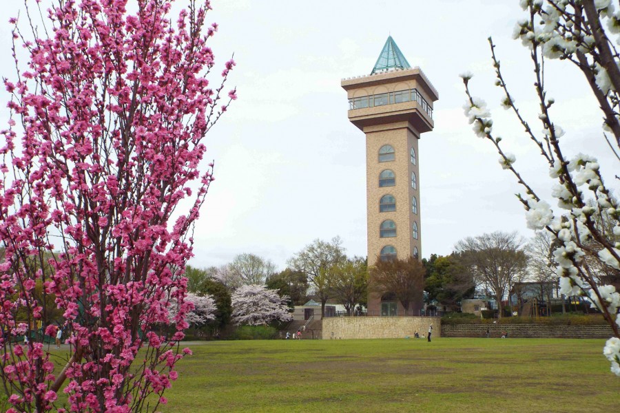绿色塔Green Tower相模原