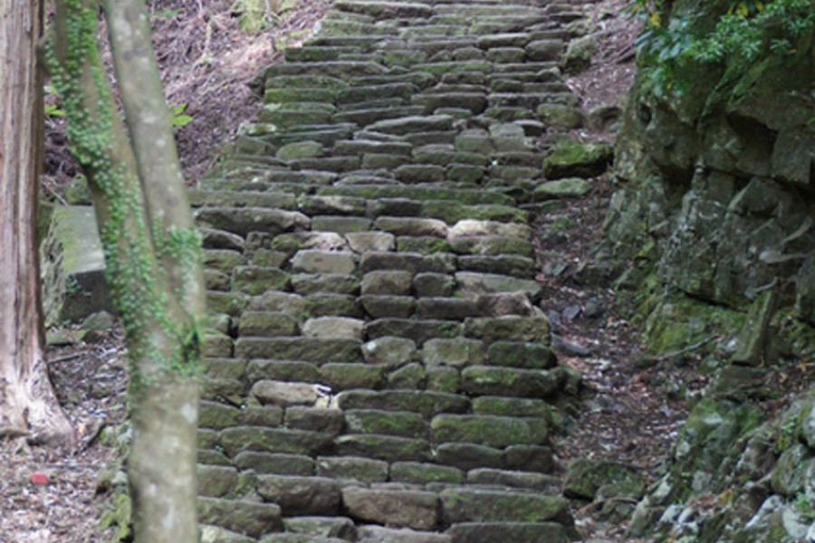 元气所在（女坂的七大奇迹）