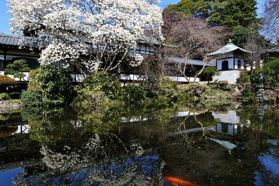 时宗总本山清净光寺（游行寺）