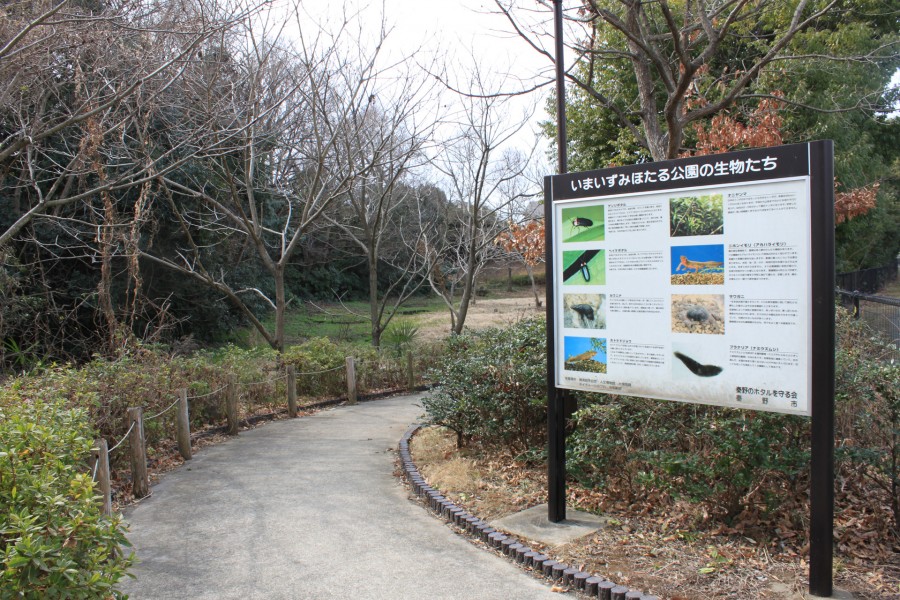 今泉萤火虫公园