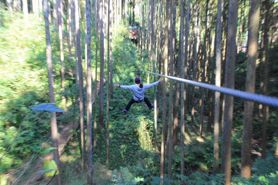 小田原森林探险