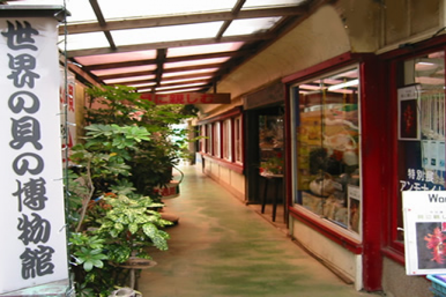 手工贝壳工艺品（世界壳牌博物馆）