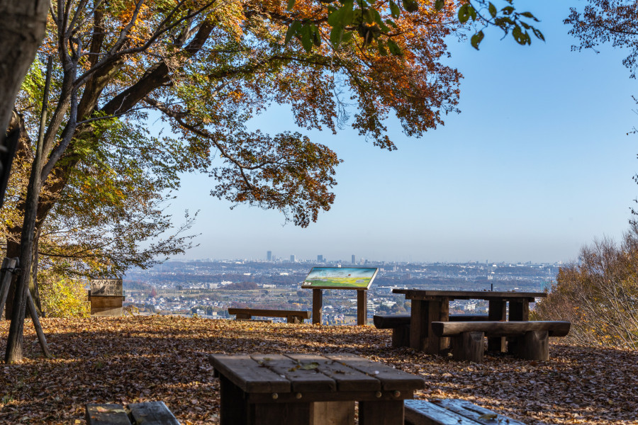 县立七泽森林公园