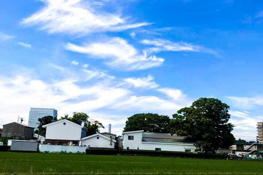 仓本Kakou Izumibashi