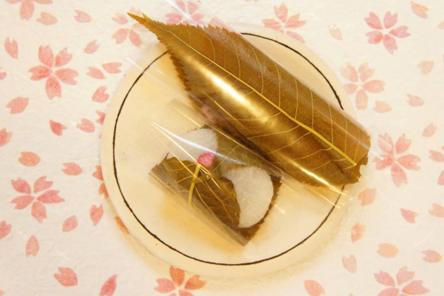 "Chanoko" Wagashi (Japanese Confectionery) Shop