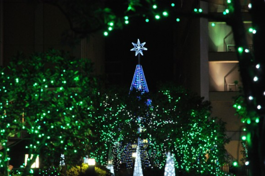 新百合之丘霓虹Kirara@艺术新百合 - 灯饰