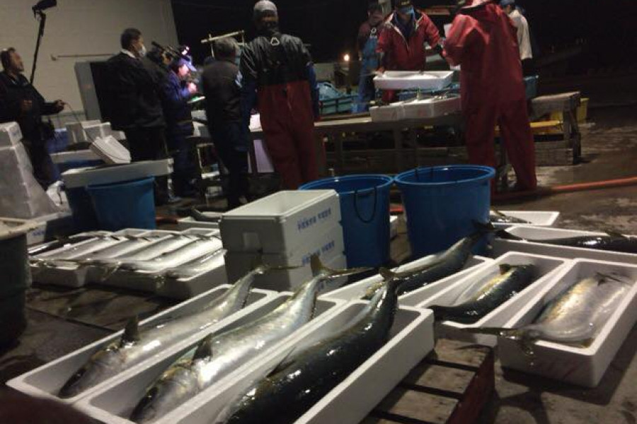 ท่าเรือใหม่ฮิรัตสึกะ