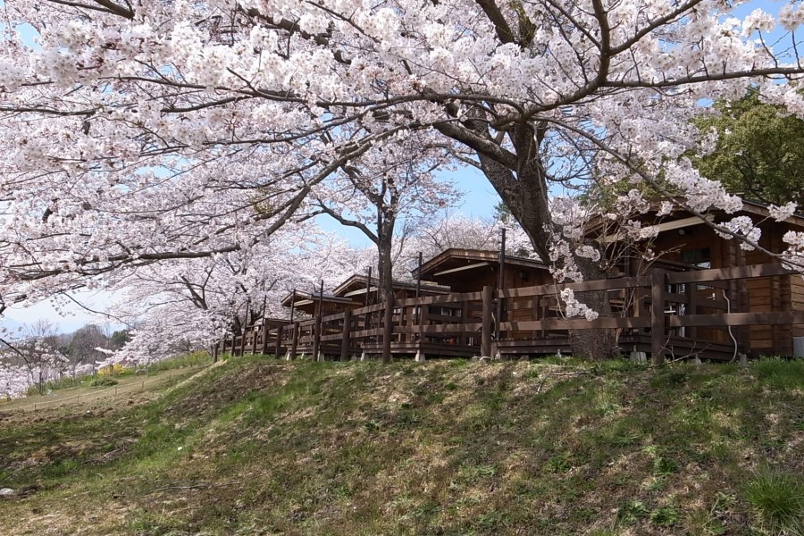 PICA相模湖（帕丁顿熊的营地）