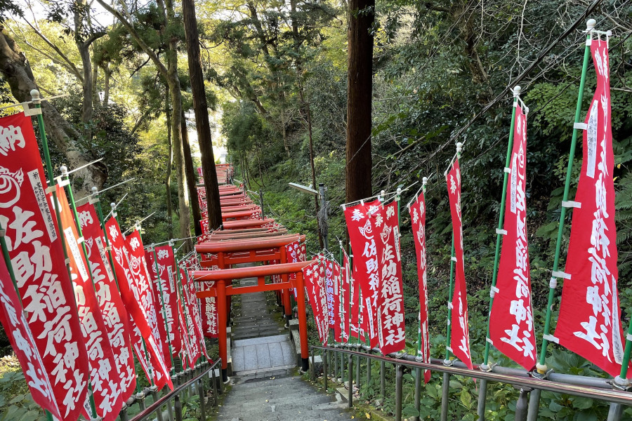 สะสุเกะ อินะริ