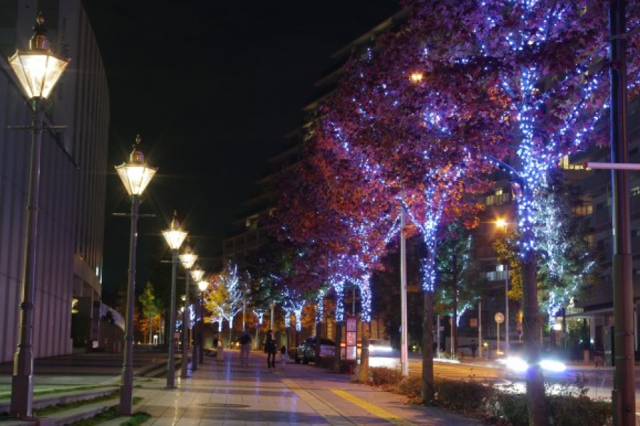 新百合之丘霓虹Kirara@艺术新百合 - 灯饰