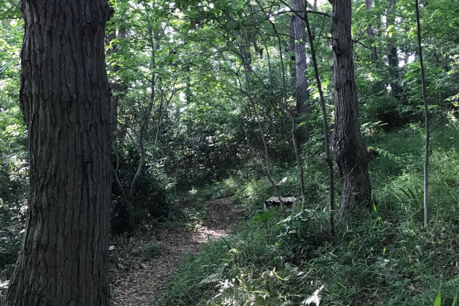 ป่ามินะมิ โนะงะวะ ฟุเระไอ