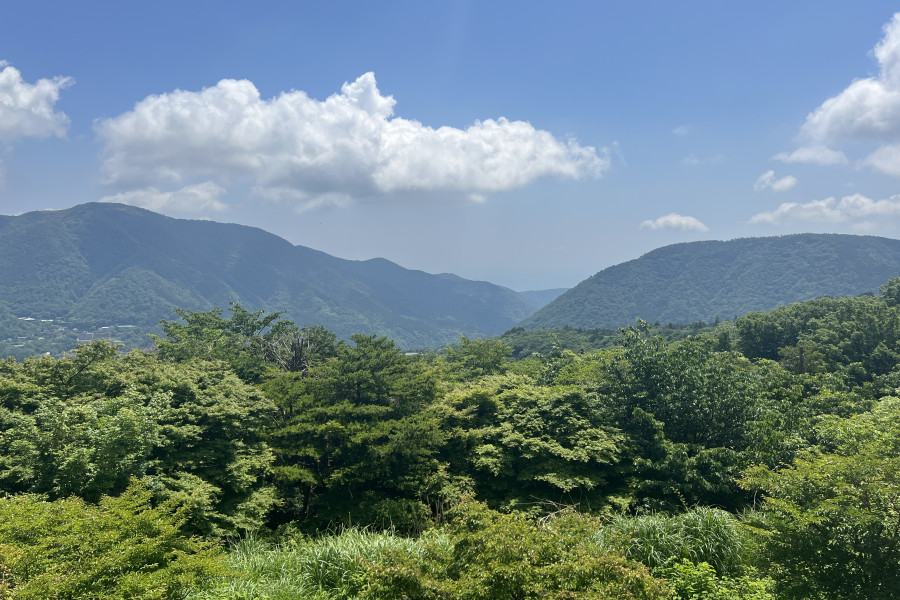 하코네 로프웨이