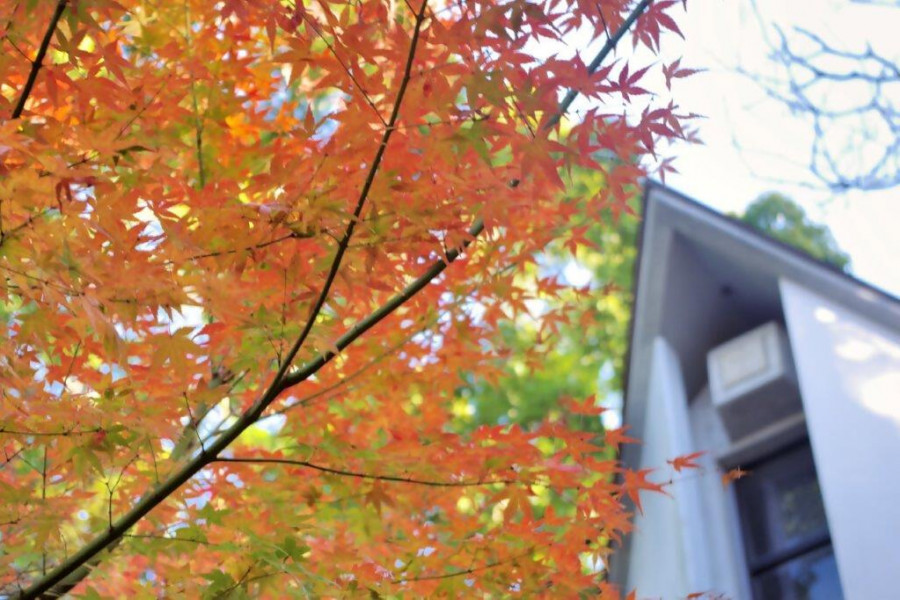 泽田美喜纪念馆