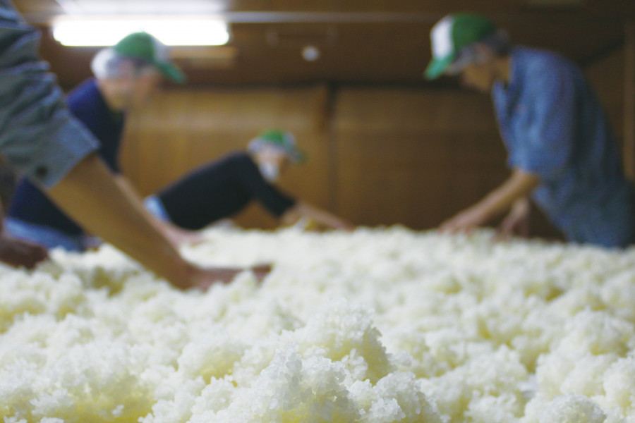 黄金井酒造株式会社