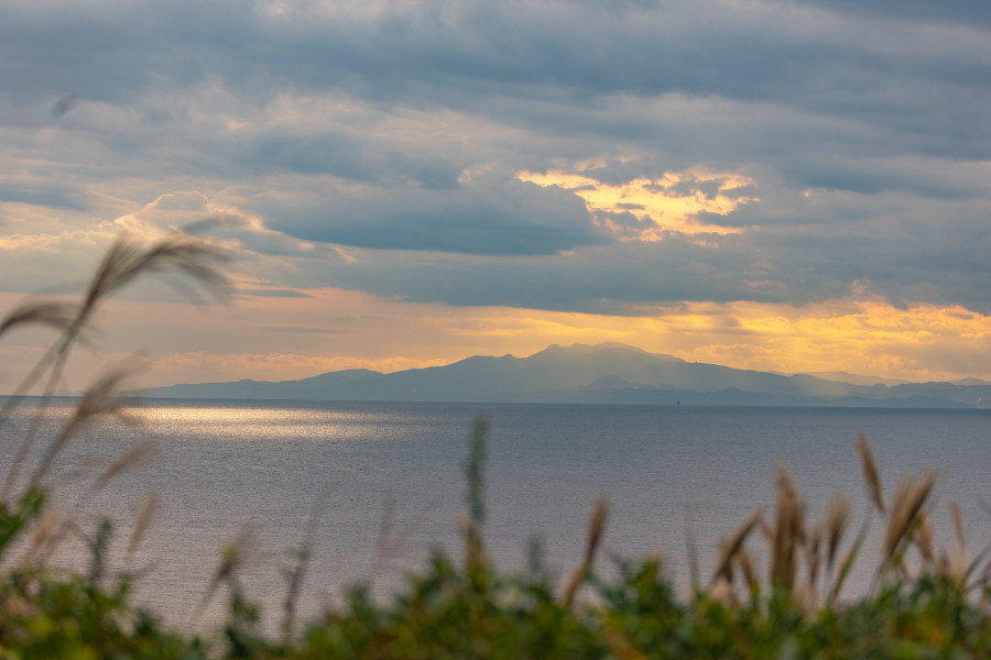 县立城之岛公园