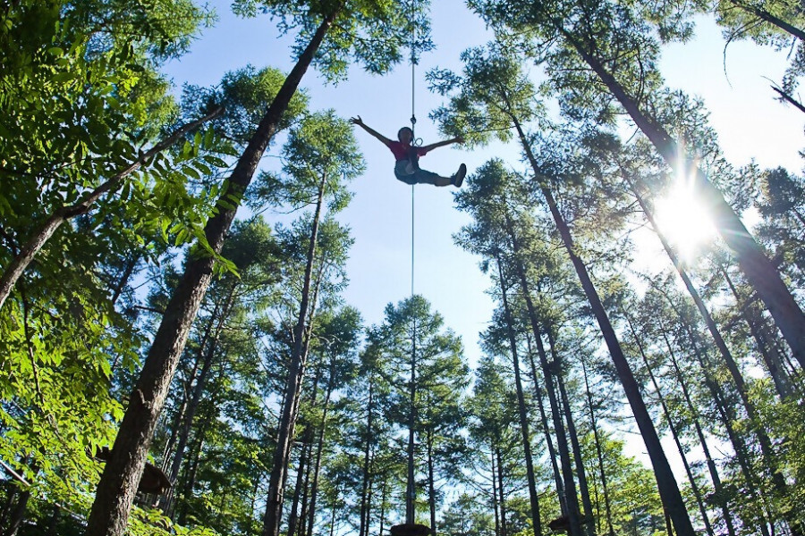Forest Adventure森林冒险 横滨