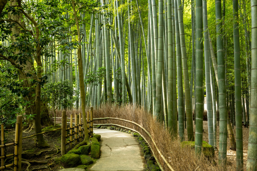 วัดโฮะโคะคุ-จิ