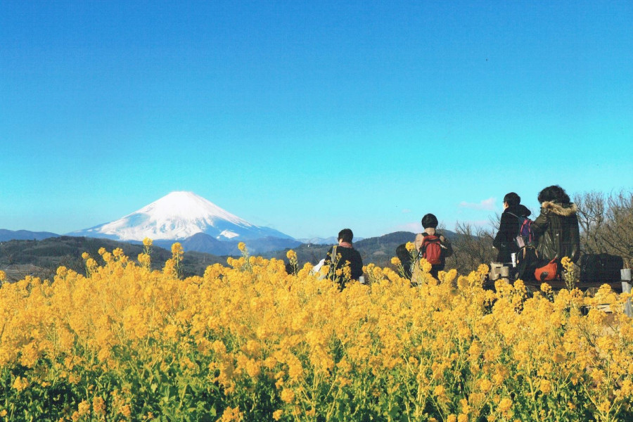 Nino屋（位于湘南二宫町观光协会内，当地土产、纪念品贩售店）