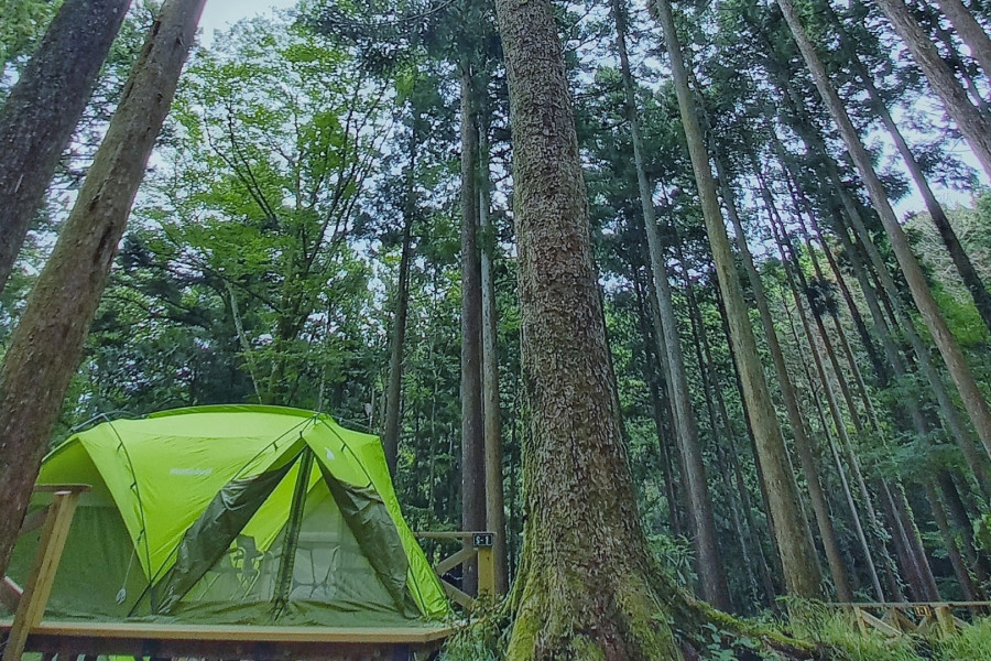 足柄森林公园 丸太之森