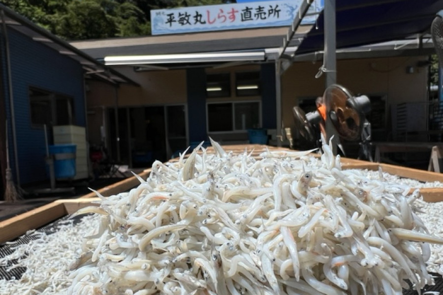 平敏丸 湘南银鱼直营店