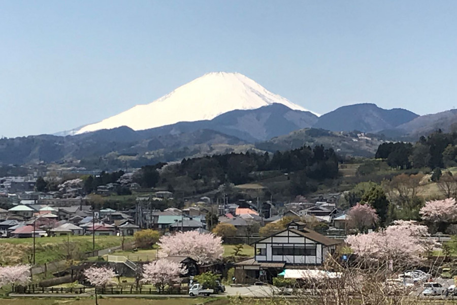 田原故乡公园／荞麦面馆东云