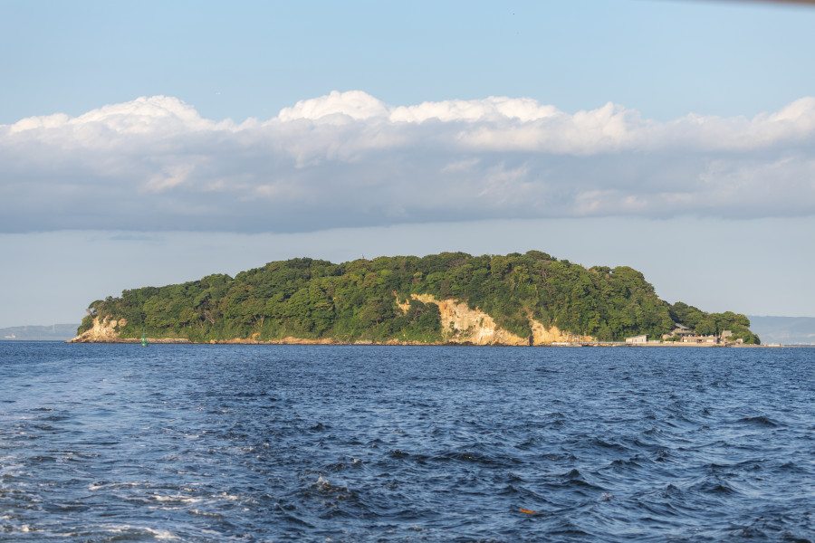 在Dobuita街观察令人印象深刻的战舰，品尝一些海军食品