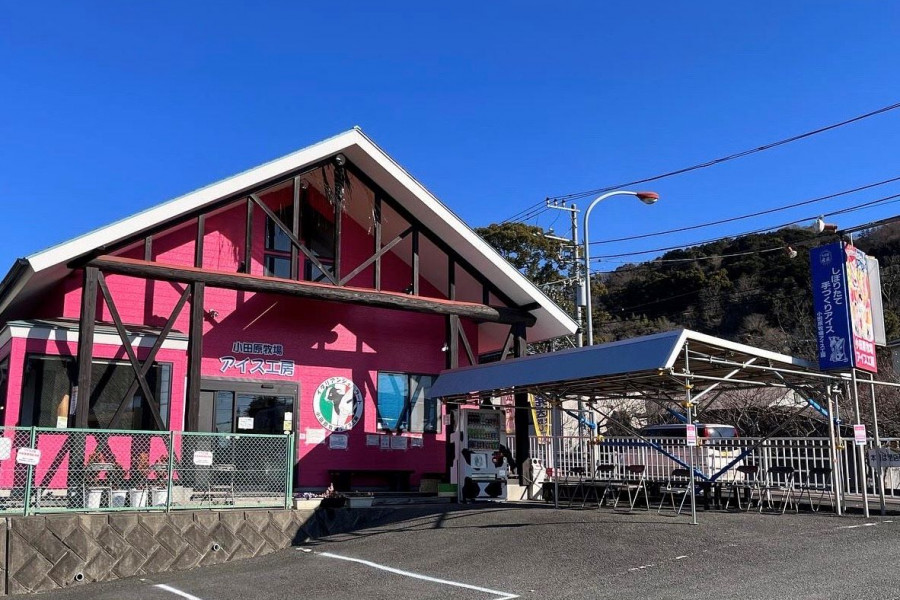 오다와라 목장 아이스 공방